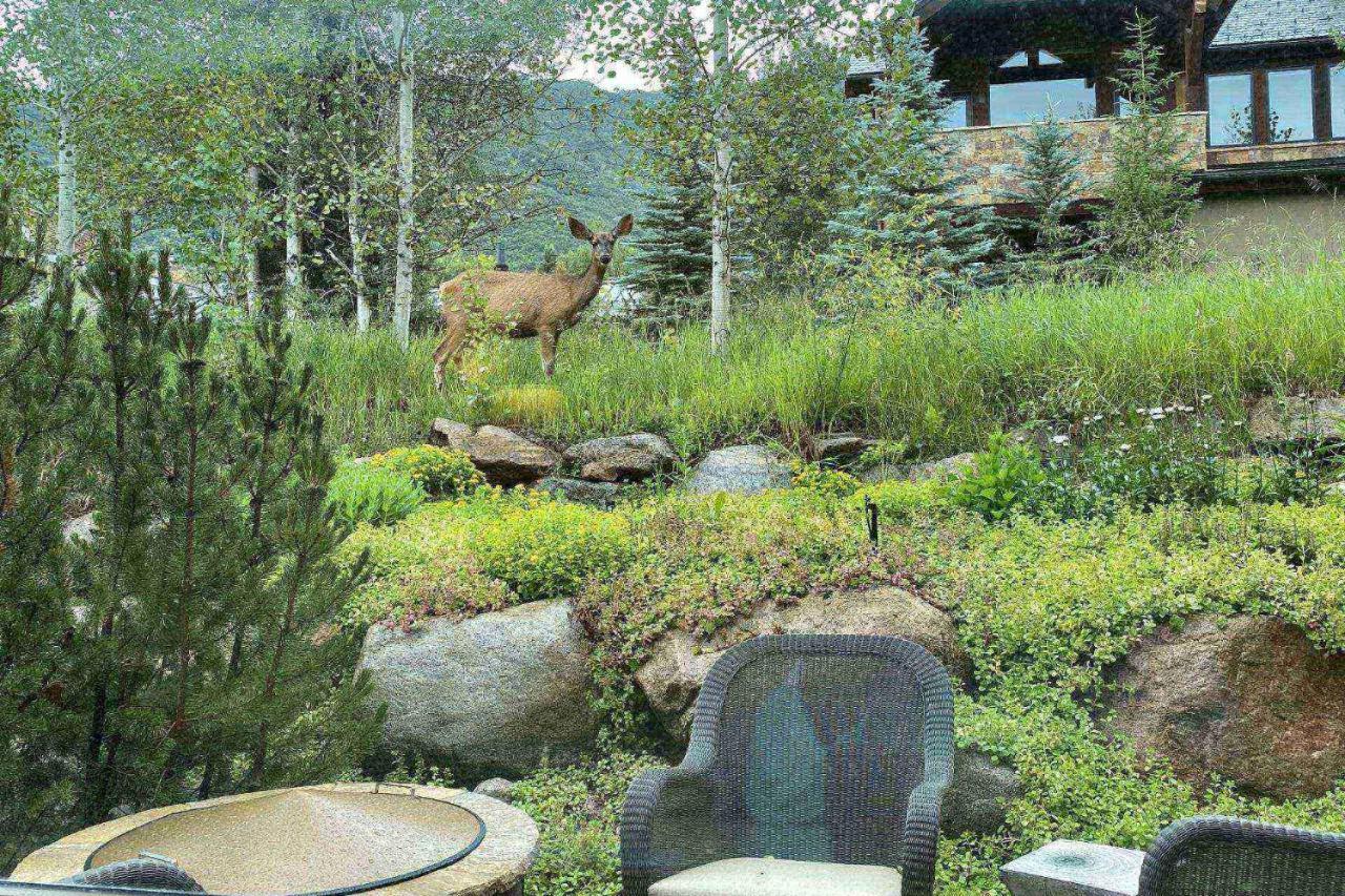 Fox Crossing Luxury Home Aspen Eksteriør billede